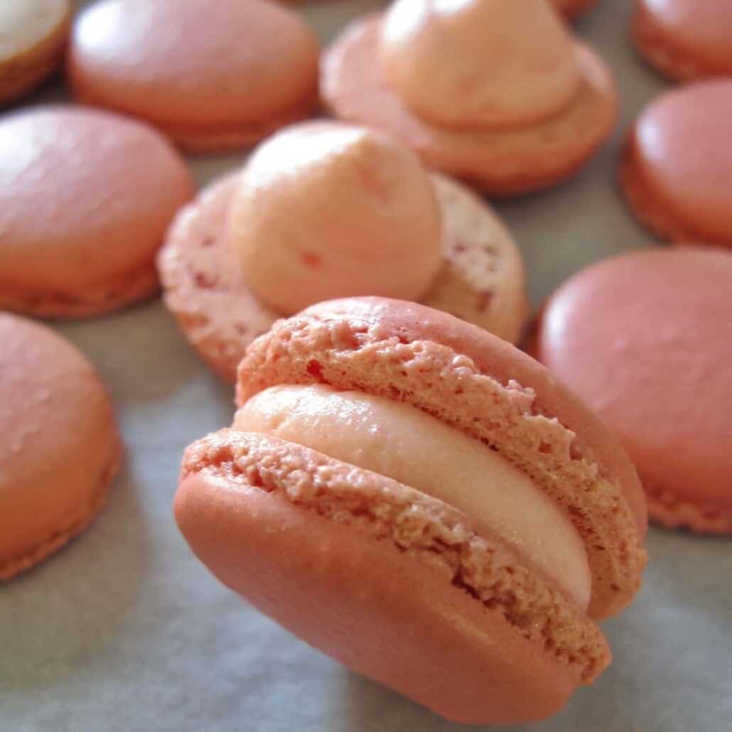 footprints-in-the-snow close-up of a macaron sandwiched cookie with its traditional ruffled feet