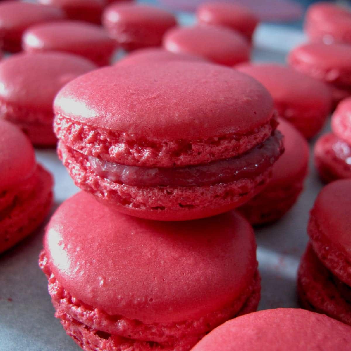 raspberry redcurrant macarons deep pink raspberry macarons
