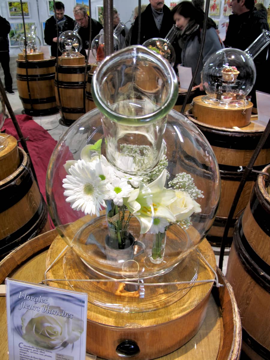 Bouquet wine aroma sniffing tests white flowers in a carafe